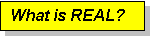 Text Box: What is REAL?