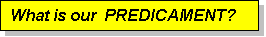 Text Box: What is our PREDICAMENT?

